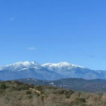 公寓 Lydia Playa Sunset Attitude *