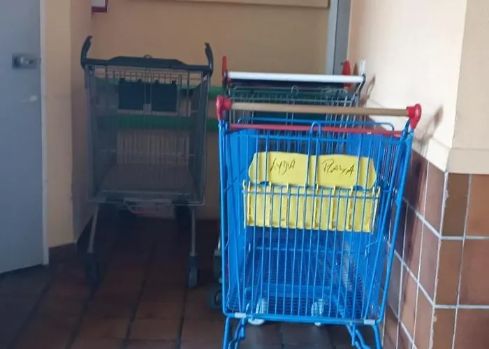 Lydia Playa Sunset Attitude *